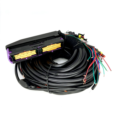 Multipoint CNG LPG Automotive Wiring Harness 56 Pin For 6 Cylinder ECU