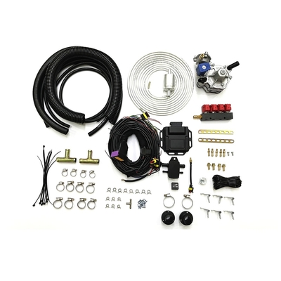 Petrol To Liquified Petroleum Gas Auto CNG LPG Conversion Kits 4 Cylinder EFI Conversion Kit
