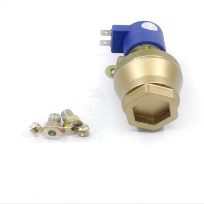 Good price Solenoid Valve Integrated LPG CNG Filter Bronze With Straight Gas Channel online