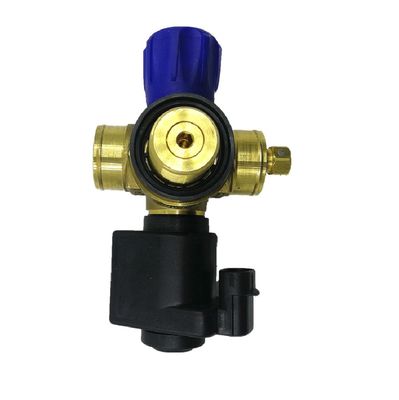 Good price Solenoid CNG Cylinder Valve Car Gas Valve DC12V For Auto Gas Fuel System online