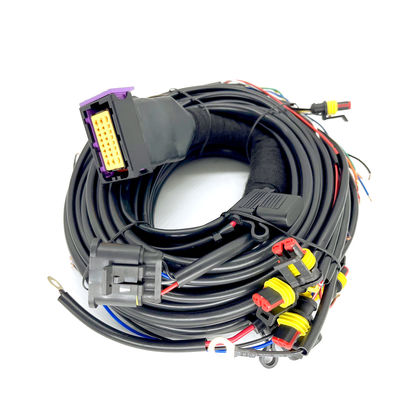 Good price CNG LPG Sequential Injection 24 Pin Car Wiring Harness For 4 Cylinder ECU online
