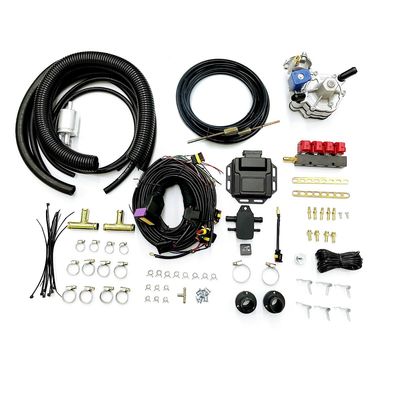Good price Four Cylinder Car Petrol To LPG Conversion Kit For Sequential Injection System online