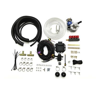Good price Petrol To Liquified Petroleum Gas Auto CNG LPG Conversion Kits 4 Cylinder EFI Conversion Kit online
