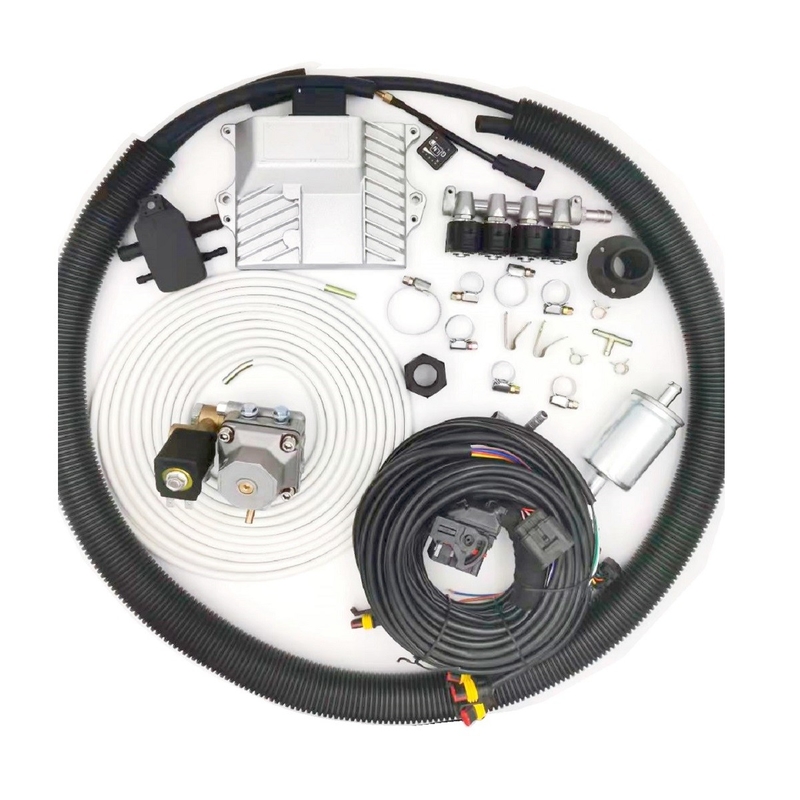 Mini CNG LPG Conversion Kits For 4 Cylinder Gasoline Direct Injection