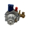 LLANO LN-AT12 Standard CNG Pressure Regulator Reducer For Car Fuel System Parts