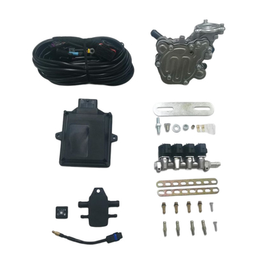 48 Pin ECU 4 Cylinder Injector Rail LPG Mini Conversion Kits For LPG GPL Cars