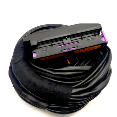 OEM Accepted ISO9001 Waterproof Automotive Cable Harness For 56 Pins ECU