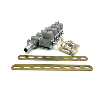 Grey Injector Rail For LPG/CNG With 2 Ohm Resistance Professional Test For CNG Or LPG 4 Stroke Cars