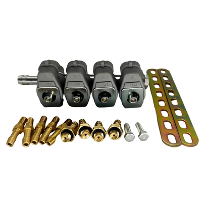 Grey Injector Rail For LPG/CNG With 2 Ohm Resistance Professional Test For CNG Or LPG 4 Stroke Cars