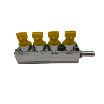 Professional Test Injector Rail for CNG or LPG Cars Customizable Design