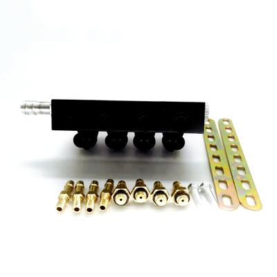 Fuel Injection System LPG CNG Injector Rail 3 Ohm Resistance LN-LIG1S